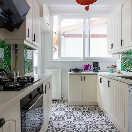 Apartman Spacious 4br 2ba W Priv Patio Close To Bosphorus *